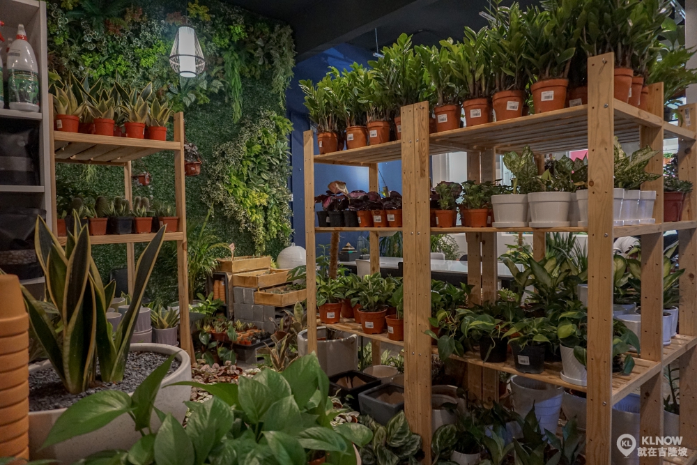 森林系女孩探店！】Setia Alam疗愈系植物咖啡馆「Igarden」· 超级诱人的厚蛋吐司！ - KL NOW 就在吉隆坡